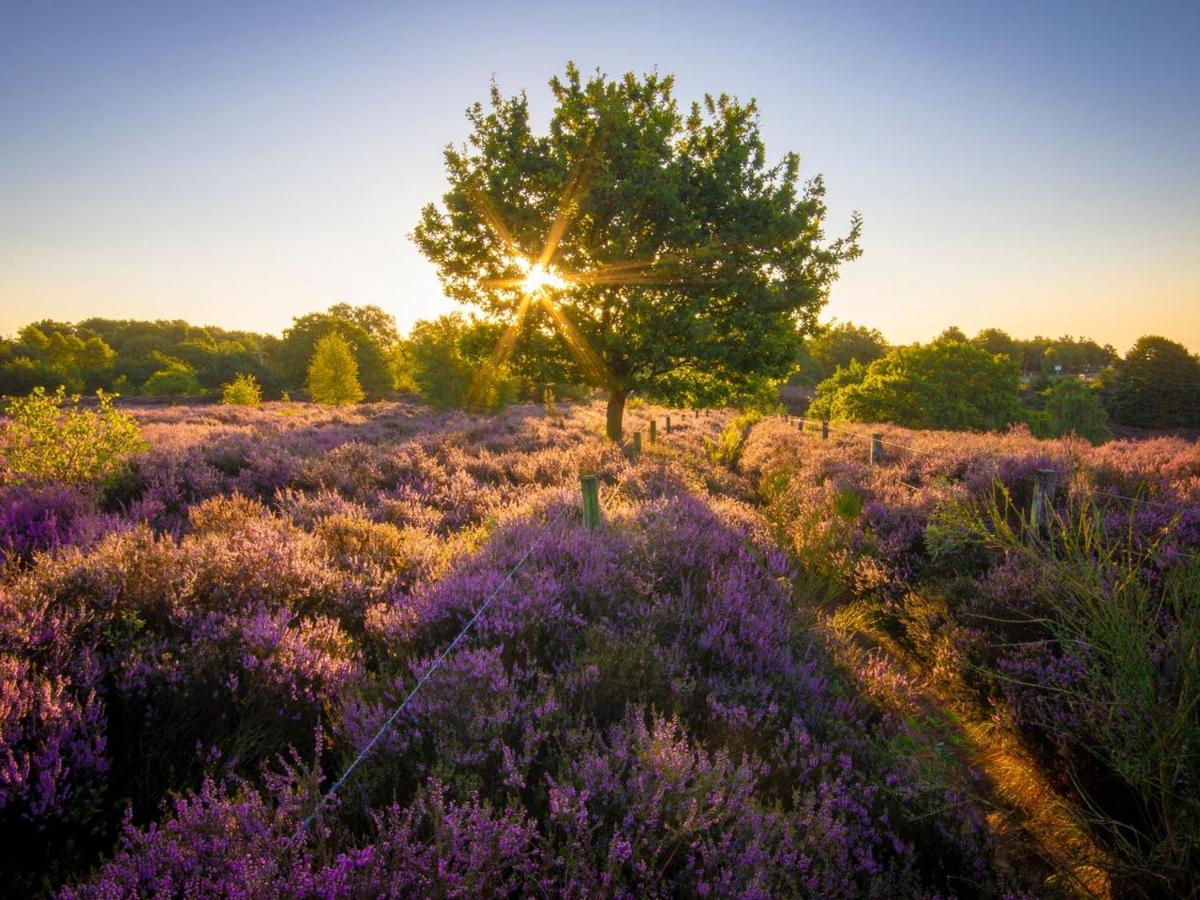 Landal Gooise Heide Huizen Exterior foto